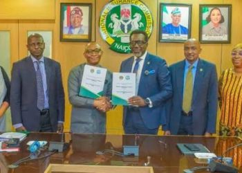 NAICOM, BPP Sign MoU to Streamline Insurance Bonds in Public Procurement