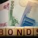 FGN Bond Auction in March 2026 Oversubscribed by 4.28% Despite Lower Allotments
