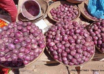 Nigeria–Ghana Onion Trade Resumes After Weeks of Disruption