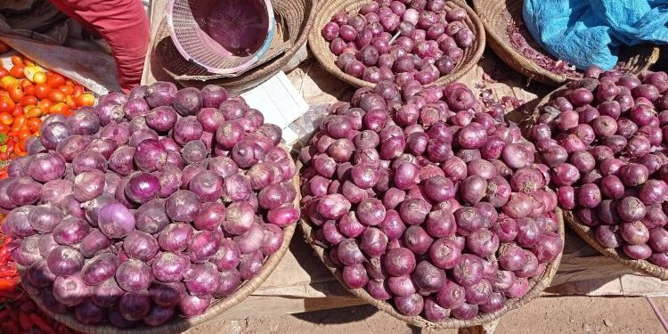 Nigeria–Ghana Onion Trade Resumes After Weeks of Disruption