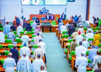 Reps Order DISCOs to Refund N55.42bn NMMP Funds Over Poor Performance
