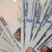 Forex Volatility Worsens as Black Market Pressure Widens Gap with Official Exchange Rate