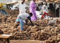 Yam Prices Fluctuate Across Lagos Markets Amid Rising Costs