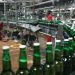 Champion Breweries Assures Shareholders of Sustained Growth Amid Economic Challenges