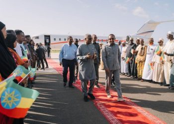 Dangote Raises Ethiopia Investment to Over $4bn to Boost Fertiliser Production