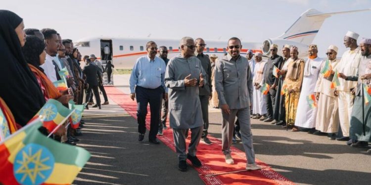 Dangote Raises Ethiopia Investment to Over $4bn to Boost Fertiliser Production