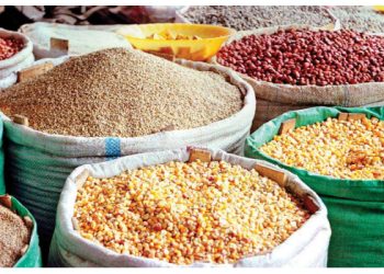 Food Prices Fluctuate in March 2026 as Eggs, Beans, Rice, and Garri Show Mixed Trends — NBS