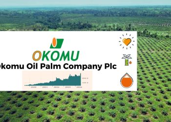 Okomu Oil Palm Posts N34.09bn Q1 Pretax Profit on Lower Costs, Strong Local Demand