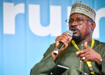 Renewable Energy Fastest Route to Nigeria’s Economic Growth, REA Boss Says 