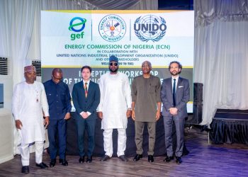 FG Eyes Hydrogen Fuel Adoption to Drive Renewable Energy, Industrial Growth 