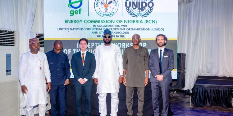FG Eyes Hydrogen Fuel Adoption to Drive Renewable Energy, Industrial Growth 