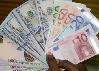 Naira Edges Higher Against Euro Amid Improved FX Stability and CBN Policy Support