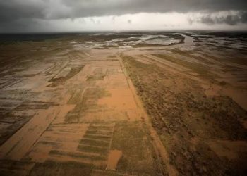 Super El Niño Could Cost Africa Up to $20bn, Trigger Mass Migration — AfDB