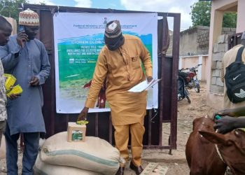 FG Distributes 100 Bullocks, Heifers to Empower Women, Youths in Jigawa