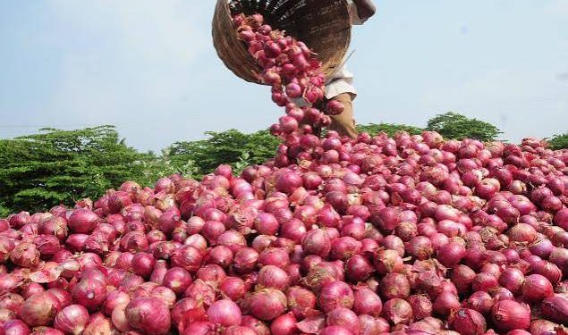 Nigeria Lifts Suspension on Onion Exports to Ghana After Trade Talks