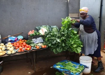 South Africa’s Producer Inflation Falls to 5.7% in July