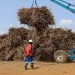 South Africa Raises Sugar Import Reference Price to $785 Per Ton