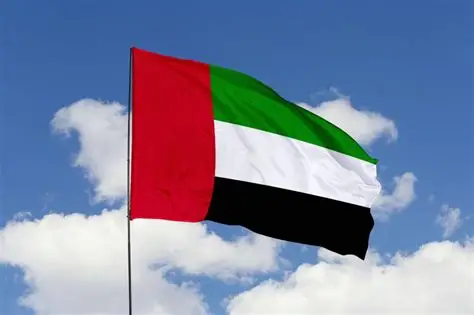 UAE Targets Renewable Energy, Infrastructure, Digital Innovation to Deepen Africa Partnerships