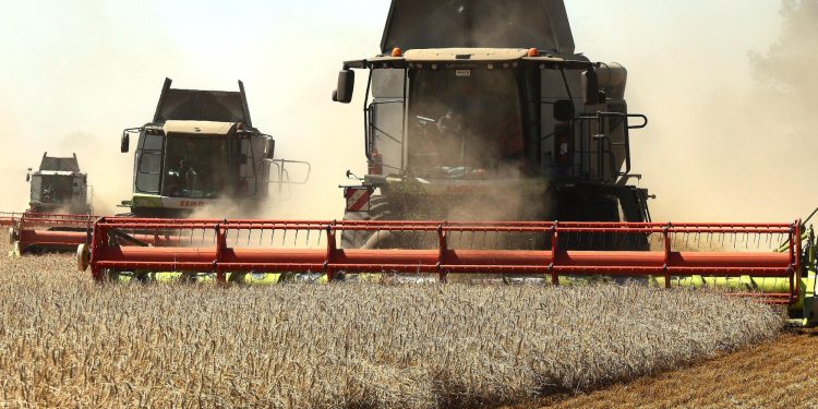 Black Sea Attacks Threaten Global Wheat Supplies as Importers Seek Alternatives