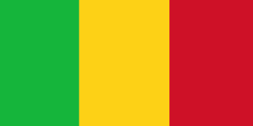 Mali Jails Broadcaster and Influencer for Seven Years After Criticism of Military Government