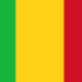 Mali Jails Broadcaster and Influencer for Seven Years After Criticism of Military Government