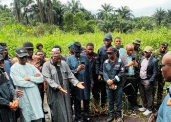 FG Records Gains Against Oil Theft as Nigeria’s Crude Production Recovers