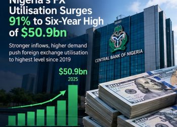 Nigeria’s FX Utilisation Surges 91% to Six-Year High of $50.9bn
