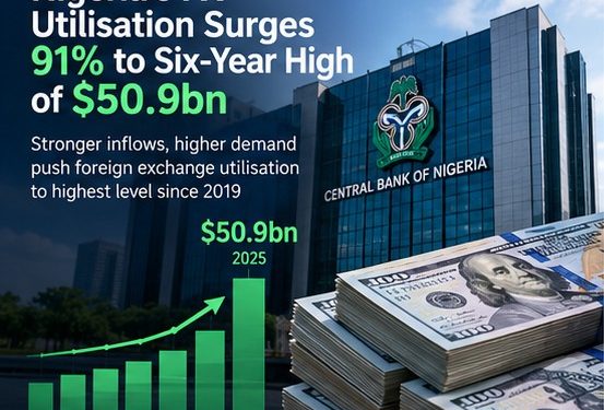 Nigeria’s FX Utilisation Surges 91% to Six-Year High of $50.9bn